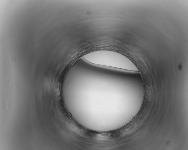 X0000095130232200712071016