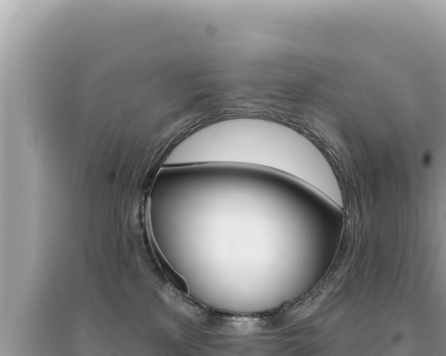 X0000095130233200712071016