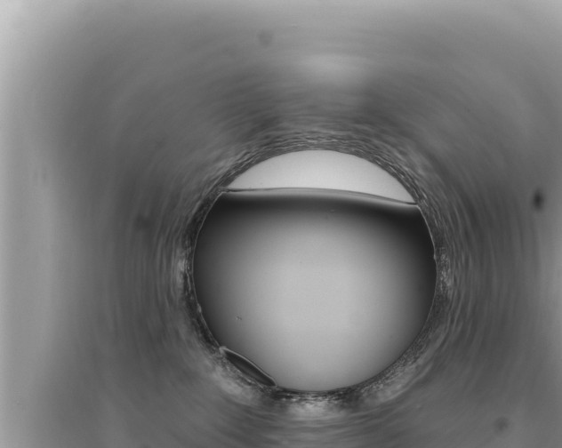 X0000095130235200712071015