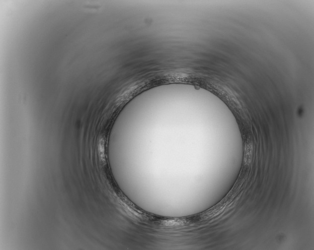 X0000095130238200712071015