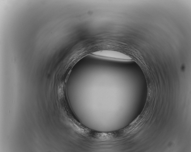X0000095130239200712071015