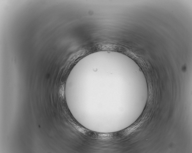 X0000095130240200712071015
