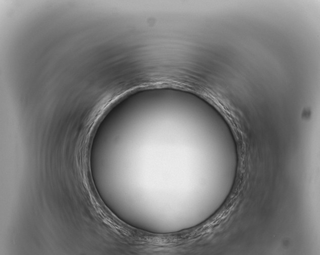 X0000095130241200712071015