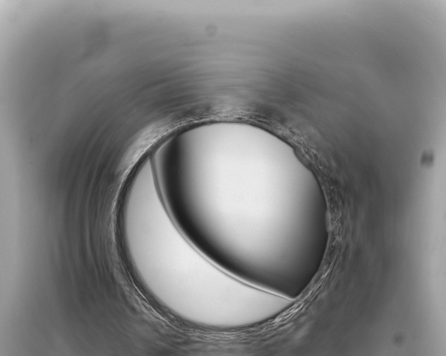 X0000095130242200712071015