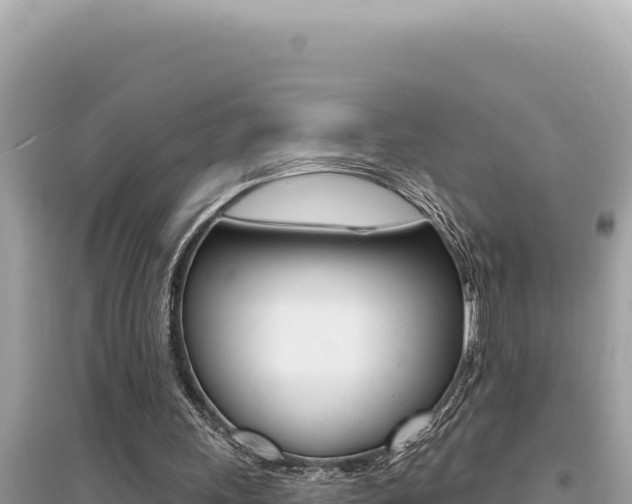 X0000095130243200712071015