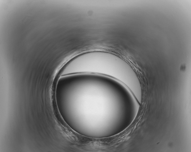 X0000095130244200712071015