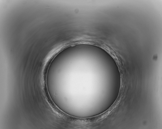 X0000095130245200712071015