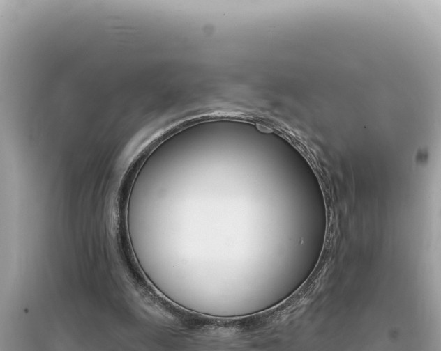 X0000095130247200712071015