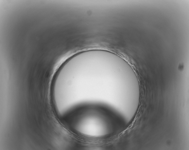X0000095130248200712071015
