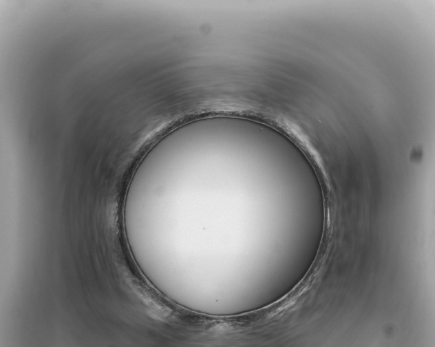 X0000095130249200712071015