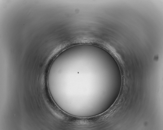 X0000095130250200712071015