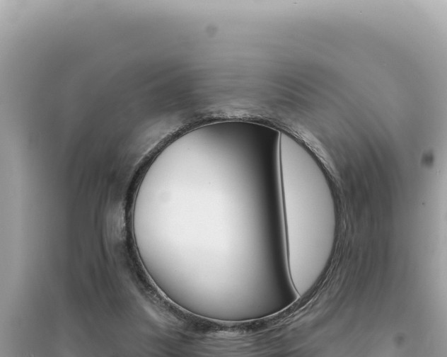 X0000095130251200712071015