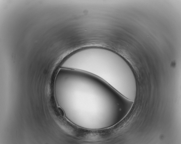 X0000095130252200712071015