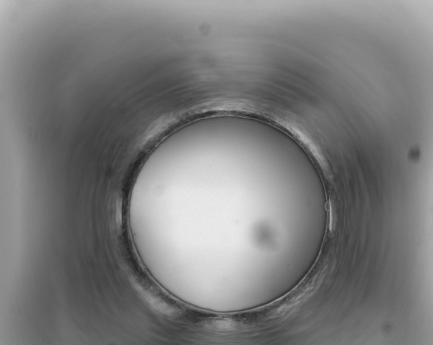 X0000095130253200712071015