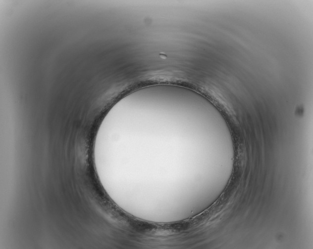 X0000095130255200712071015