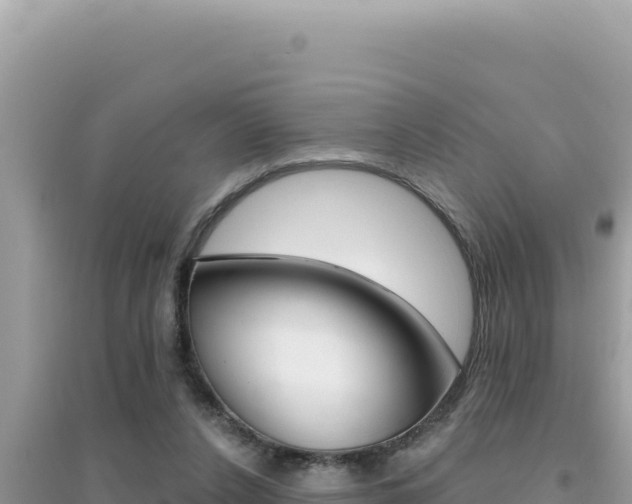 X0000095130256200712071015