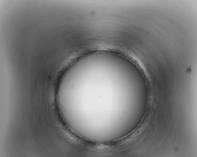 X0000095130257200712071015