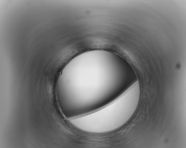 X0000095130258200712071015