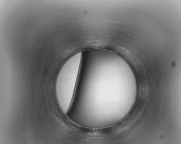 X0000095130259200712071015