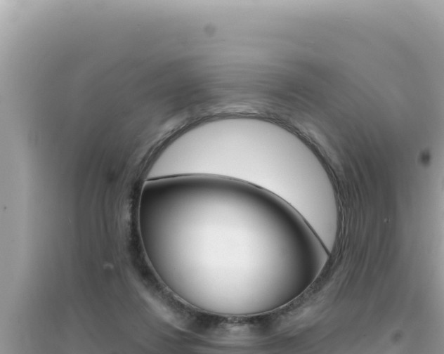 X0000095130260200712071015