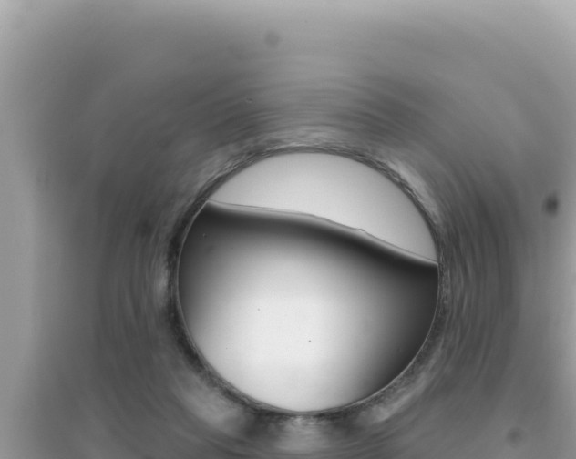 X0000095130261200712071015