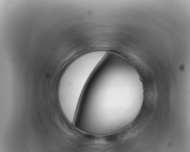 X0000095130262200712071015