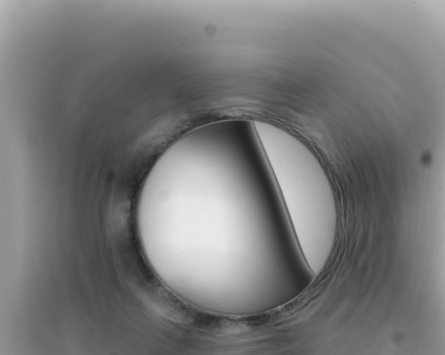 X0000095130263200712071015