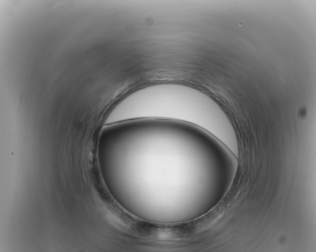 X0000095130264200712071015