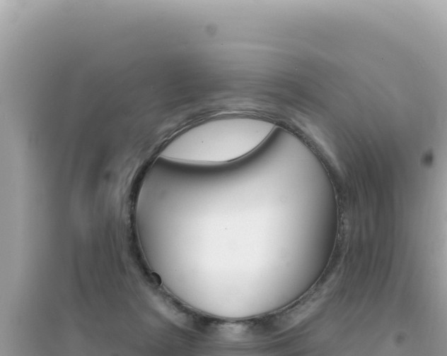 X0000095130265200712071015