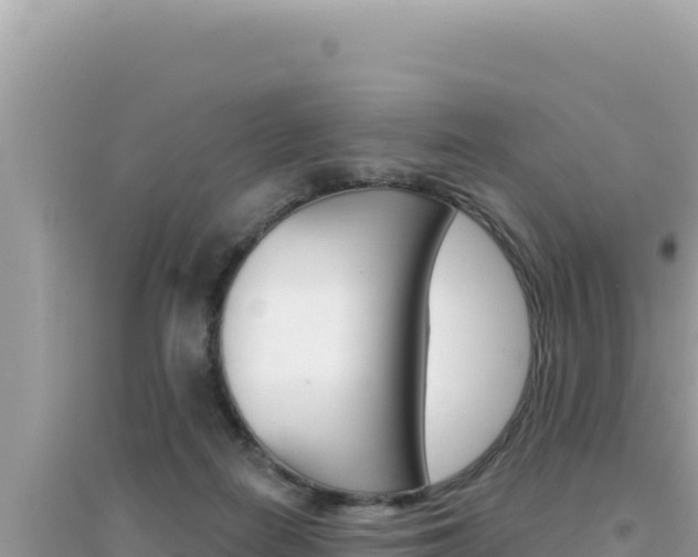 X0000095130266200712071015