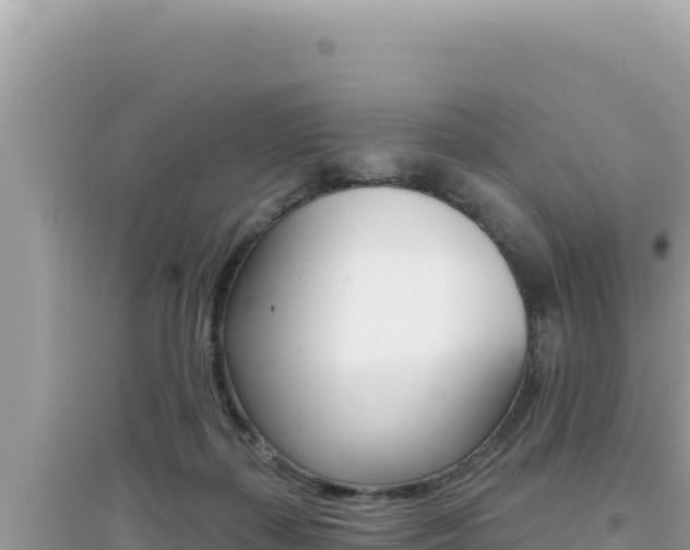 X0000095130267200712071015