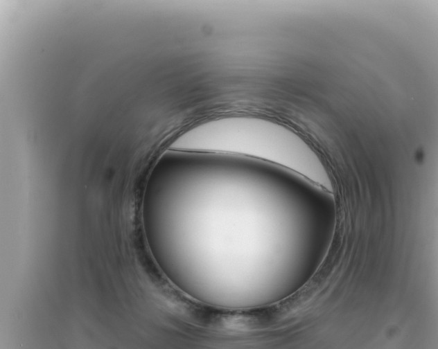 X0000095130268200712071015