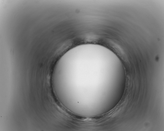 X0000095130269200712071015