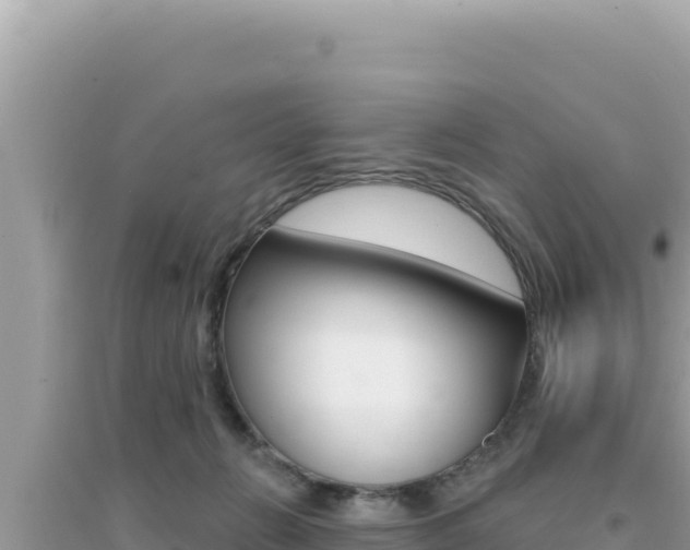 X0000095130270200712071015
