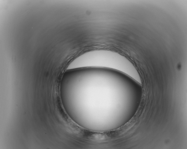 X0000095130272200712071015