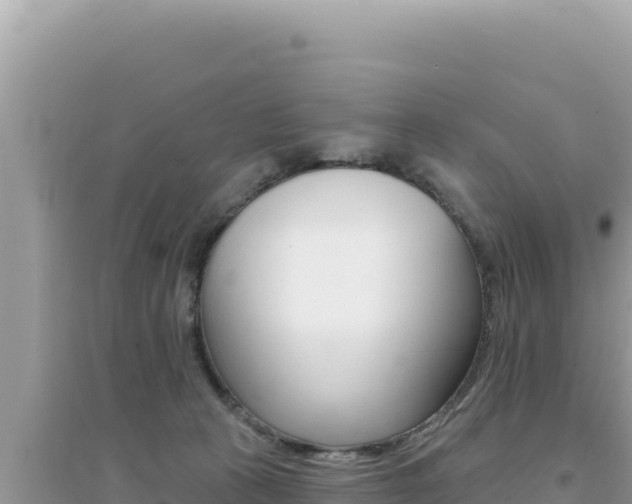 X0000095130273200712071015
