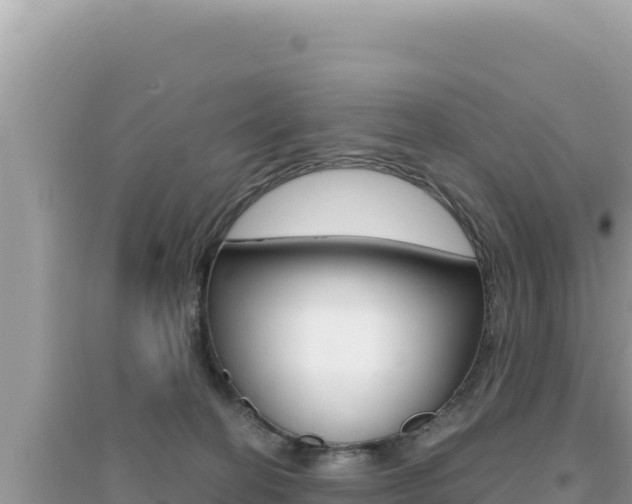 X0000095130274200712071015