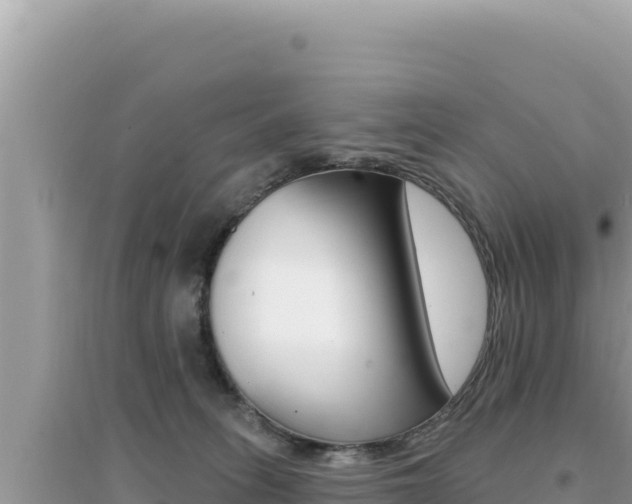 X0000095130275200712071015