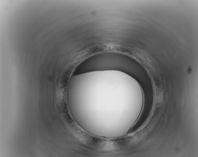 X0000095130276200712071015
