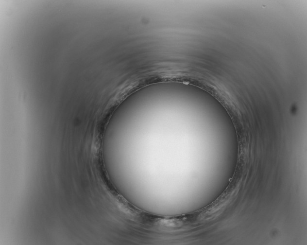 X0000095130277200712071015