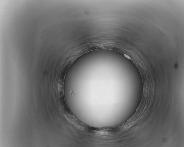X0000095130284200712071015