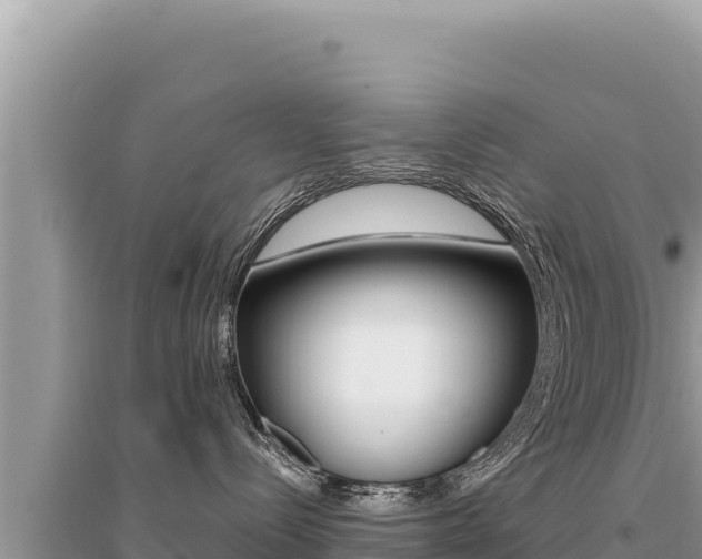X0000095130288200712071015