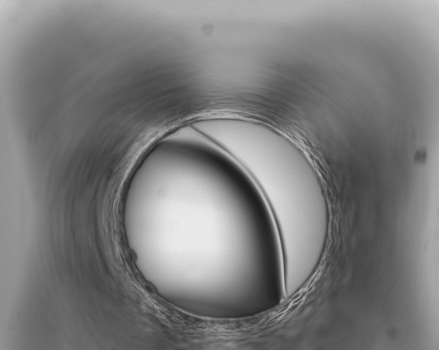 X0000095130289200712071015