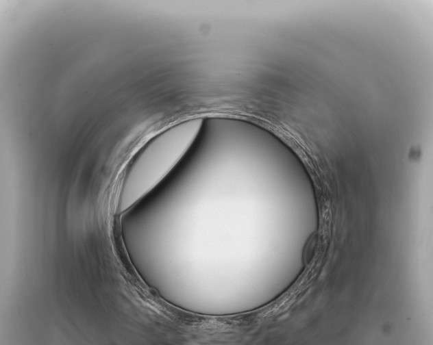 X0000095130290200712071015
