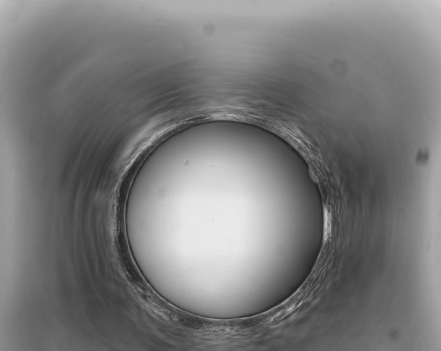 X0000095130291200712071015