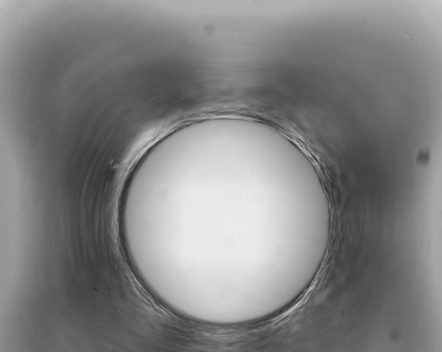 X0000095130293200712071015