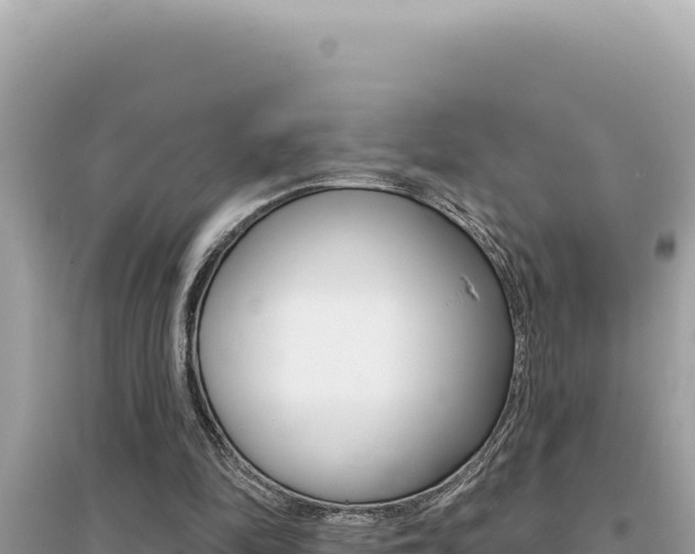X0000095130294200712071014