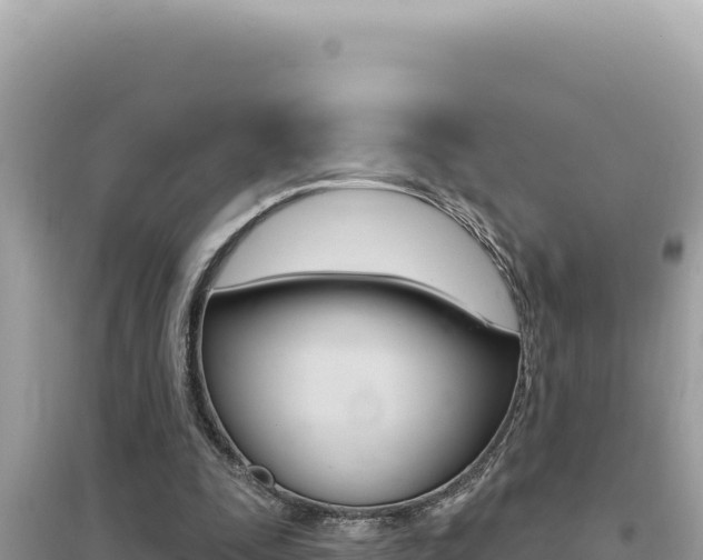 X0000095130295200712071014