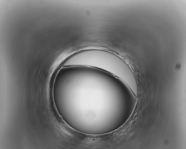 X0000095130296200712071014