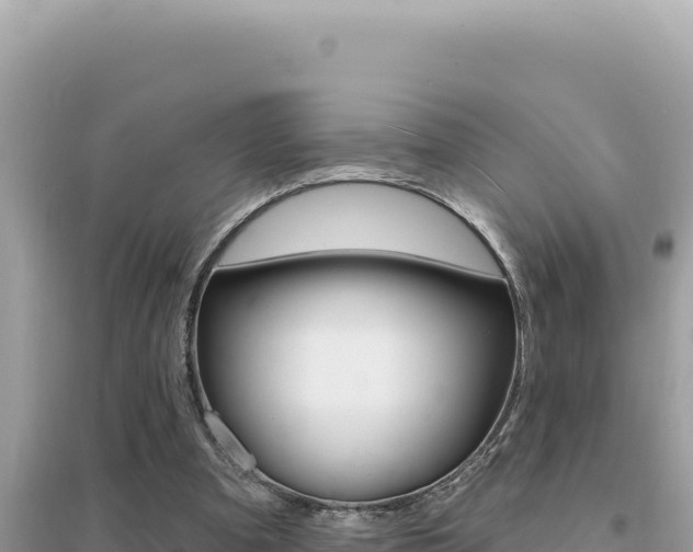 X0000095130297200712071014